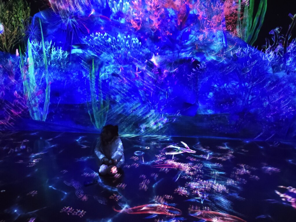 Scaled image IMG_20251213_103320.jpg 