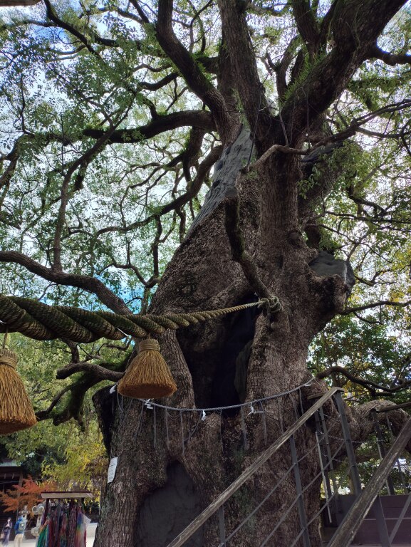 Scaled image IMG_20251212_121900.jpg 