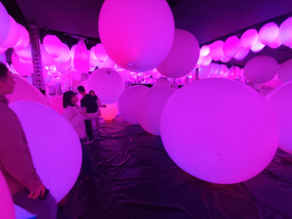 Scaled image IMG_20251213_105720.jpg 