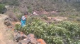 Thumbnail WP_20160617_13_55_57_Pro.jpg 