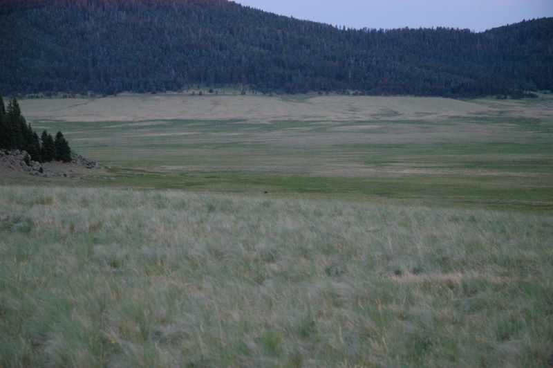 dsc_2166.jpg (large)