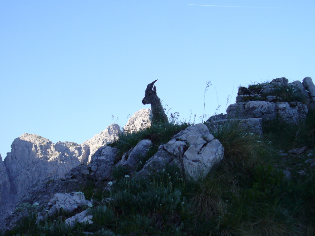 Scaled image P1120943.JPG 