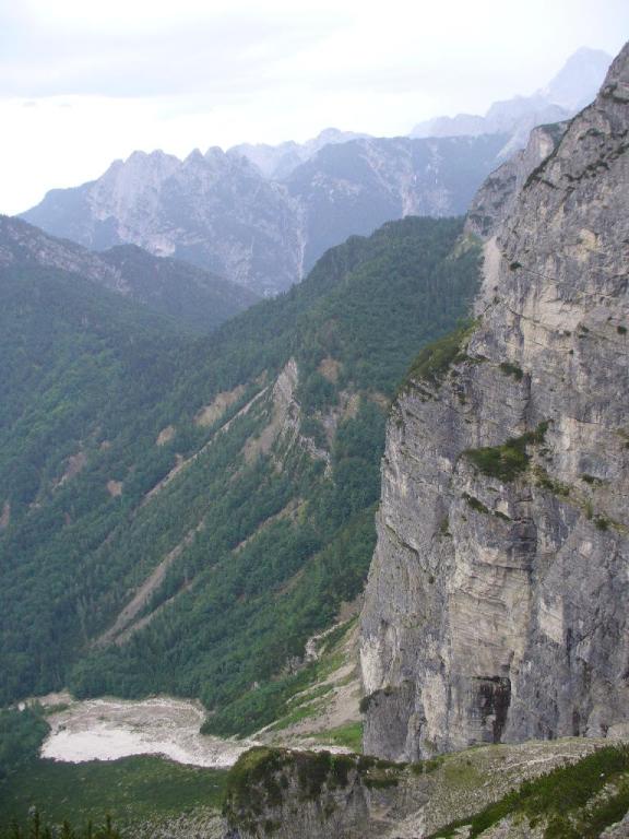 Scaled image P1120985.JPG 