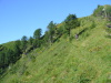 Thumbnail P1120873.JPG 