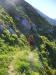 Thumbnail P1120880.JPG 
