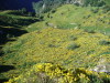Thumbnail P1120885.JPG 