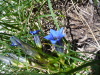 Thumbnail P1120914.JPG 