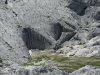 Thumbnail P1120917.JPG 