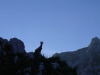 Thumbnail P1120935.JPG 