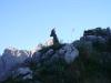 Thumbnail P1120943.JPG 