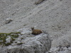 Thumbnail P1120981.JPG 