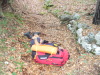 Thumbnail P1130077.JPG 