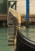 Thumbnail DSC_5990.jpg 