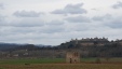 Thumbnail 20240222_142010.jpg 