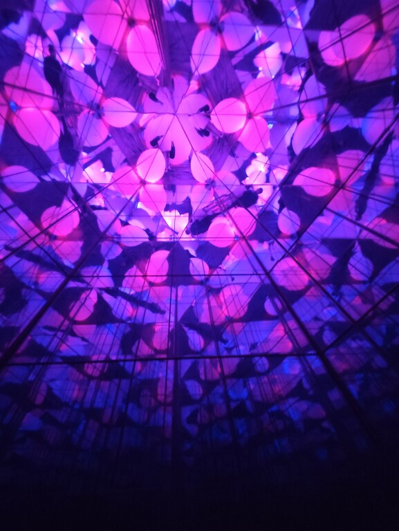 Scaled image IMG_20251213_105404.jpg 