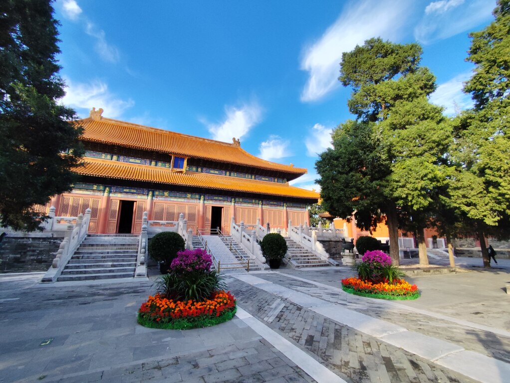 Scaled image IMG_20251017_160915.jpg 