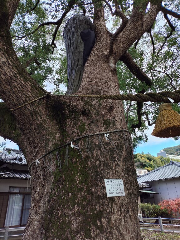 Scaled image IMG_20251212_121905.jpg 