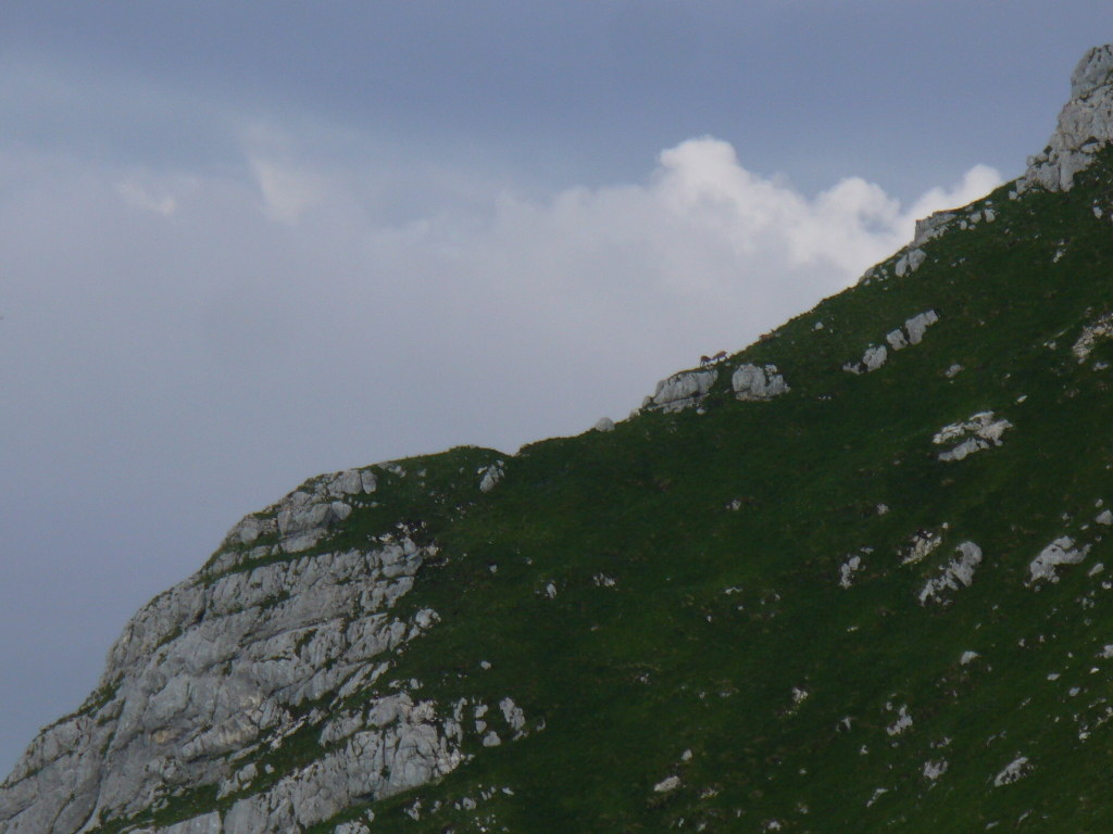 Scaled image P1120953.JPG 