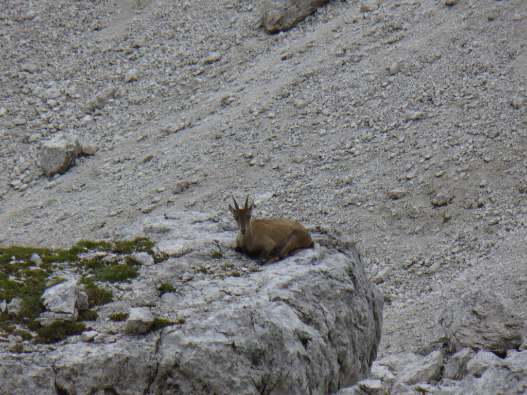 Scaled image P1120981.JPG 