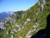 Thumbnail P1120886.JPG 