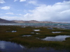 Thumbnail P1140872.JPG 