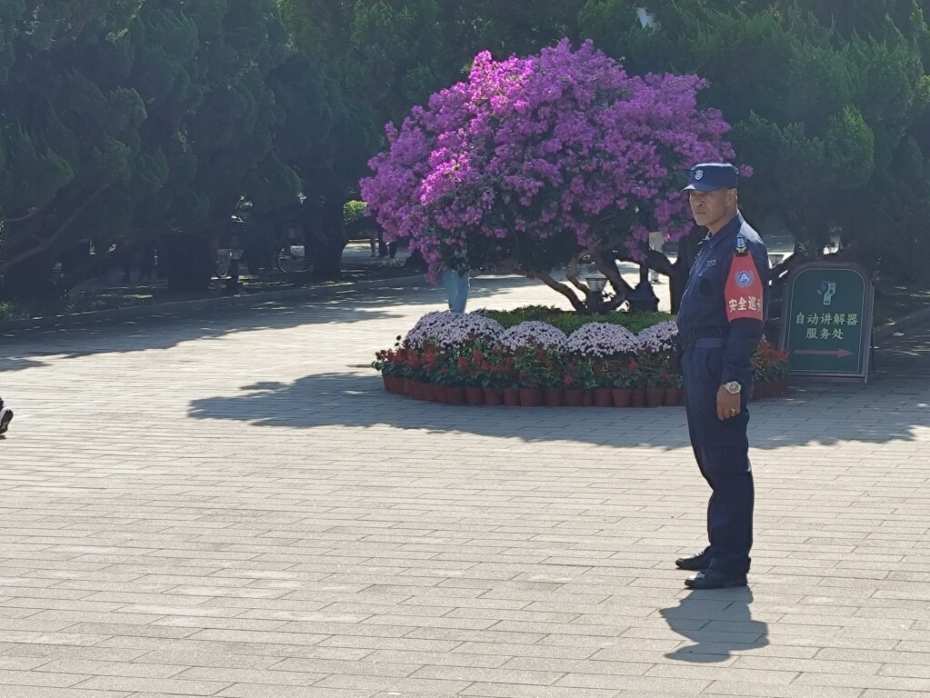 Scaled image IMG_20251013_112403.jpg 